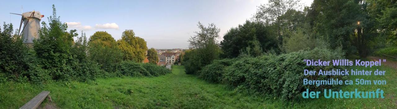 Ferienhaus An Der Bergmuehle Villa Flensburg Kültér fotó